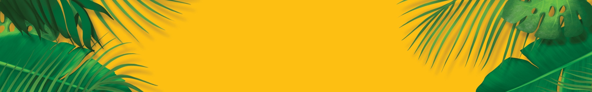 bandeau nos reunions SUN DAY