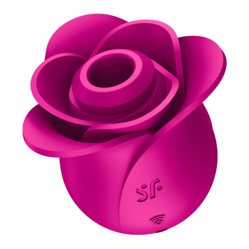 Pro 2 Modern Blossom (3)