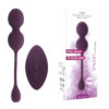Vision Vibrating Egg purplish red (2) HOT FANTASY WISH Vision Vibrating Egg black